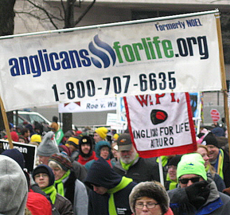 Anglicans for Life banner