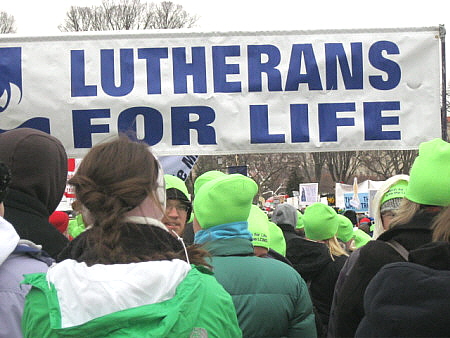 Lutherans for Life banner