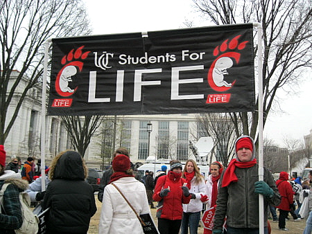 University of Cincinnati Students for Life banner