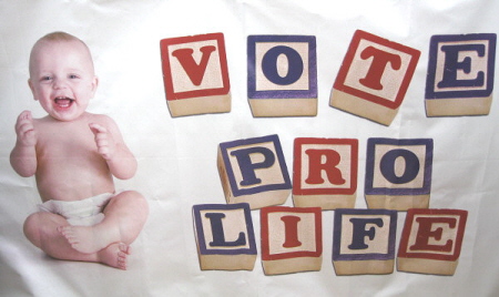 Banner with photo of baby and 'Vote ProLife' spelled out with colorful baby blocks