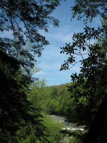Trees frame river, wooded hill, and blue sky